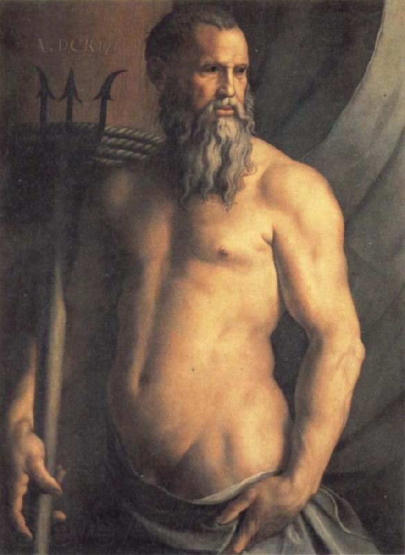 Agnolo Bronzino Portrait des Andrea Doria als Neptun Spain oil painting art